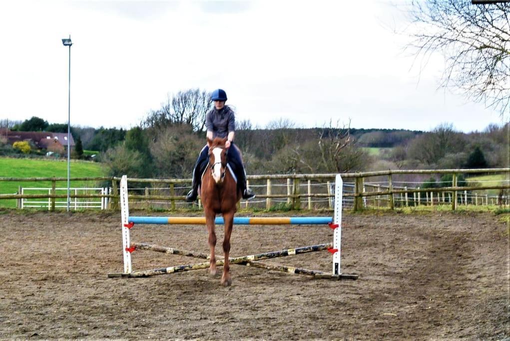 Appartamento Hillfields Farm Barn - A Rural Equestrian Escape Coventry Esterno foto